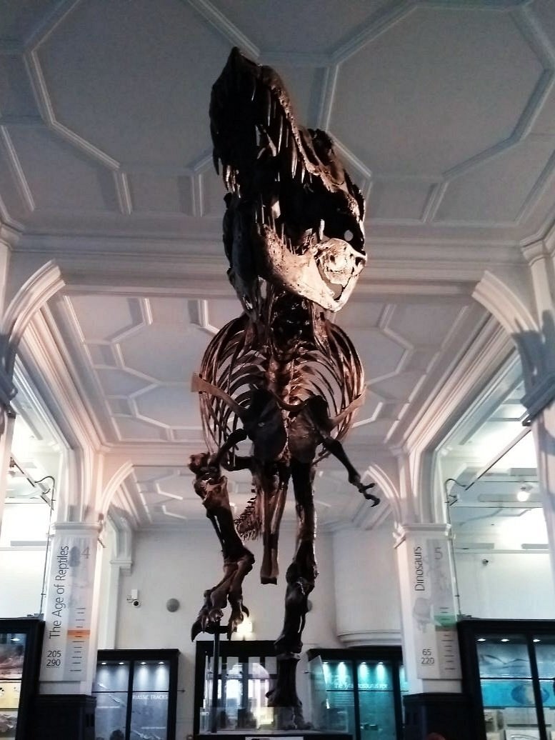 Manchester Museum